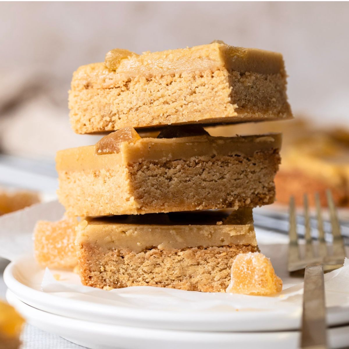 Secret Kiwi Kitchen -Ginger Crunch Slice