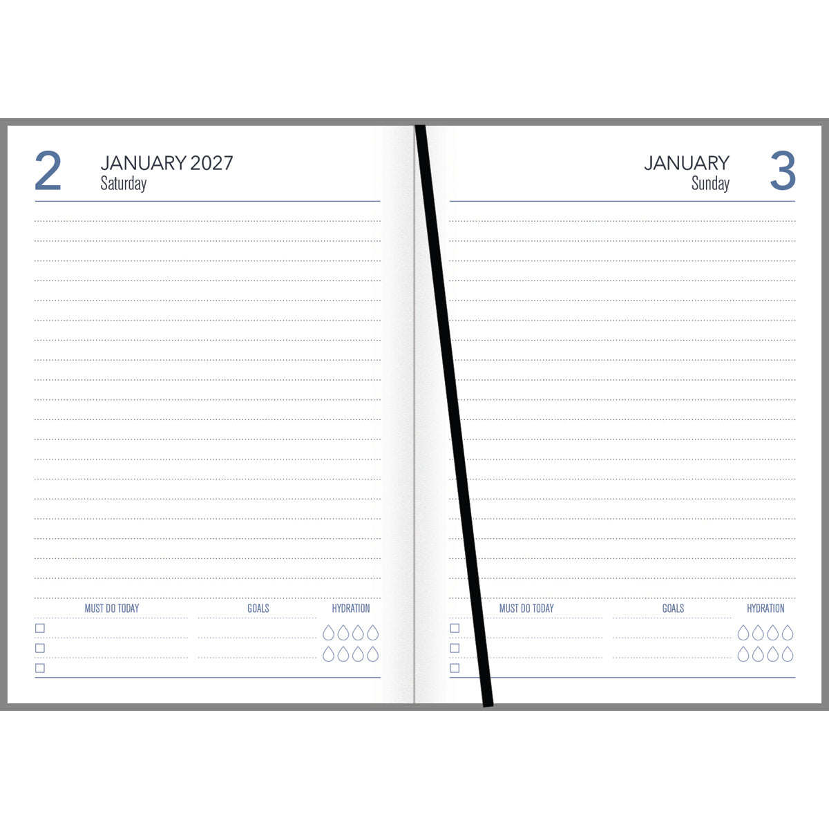 2027 Diary